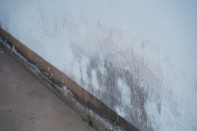 Señales de humedad en paredes que conviene atender a tiempo